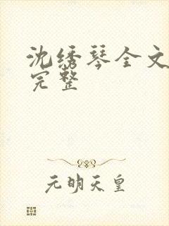 沈绣琴全文阅读完整封面