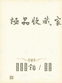 极品收藏家