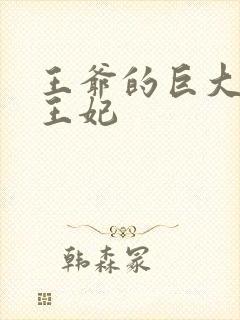 王爷的巨大进入王妃