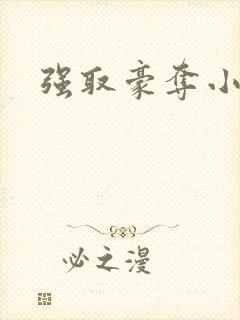 强取豪夺小说