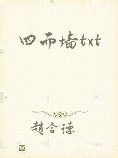 四面墙txt