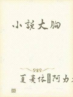 小说大胸