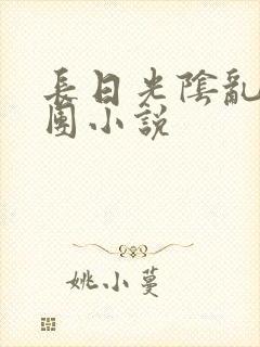 长日光阴乱作一团小说