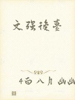 文强后台