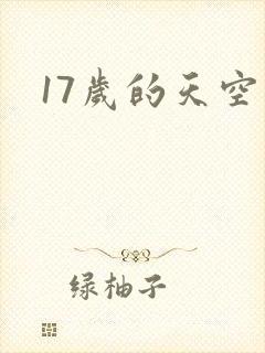 17岁的天空