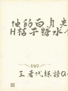 他的白月光HVH桔子糖水全文