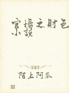 官场之财色诱人小说封面