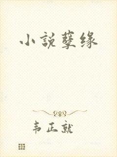 小说孽缘封面