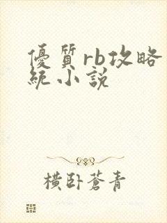 优质rb攻略系统小说