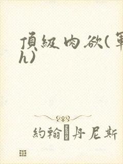 顶级肉欲(军高h)封面
