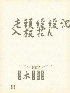 老头缓缓沉腰进入校花h