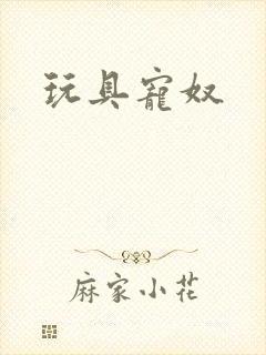 玩具宠奴