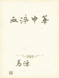 血淬中华封面