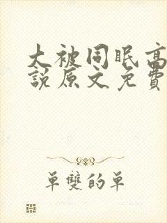 大被同眠高粱小说原文免费阅读