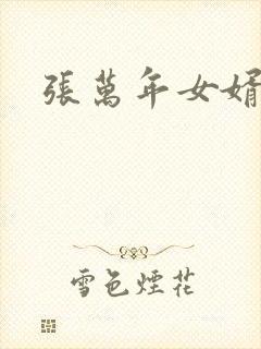 张万年女婿封面