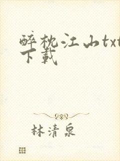 醉枕江山txt下载