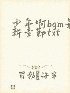 少年啊bgm最新章节txt