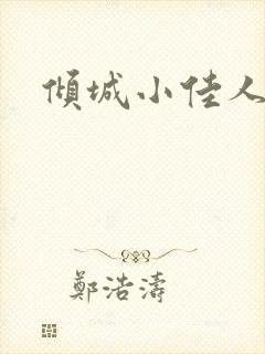 倾城小佳人封面