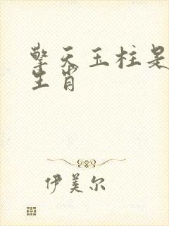 擎天玉柱是什么生肖