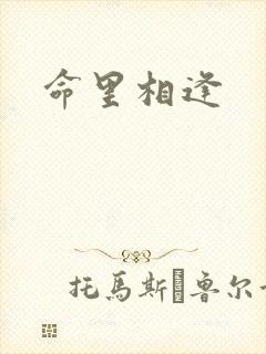 命里相逢封面