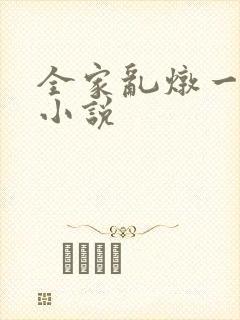 全家乱炖一锅烩小说封面