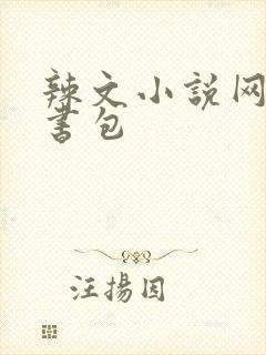 辣文小说网第二书包