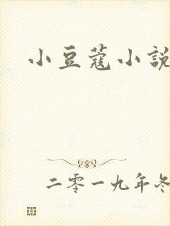 小豆蔻小说