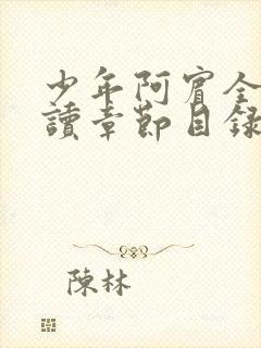 少年阿宾全文阅读章节目录