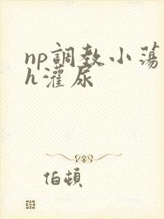 np调教小荡货h灌尿