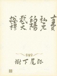 总裁的私有宝贝穆天阳免费封面