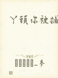 丫头你被捕了封面