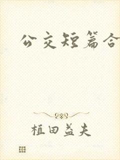 公交短篇合集
