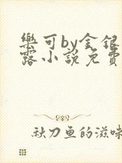 乐可by金银花露小说免费阅读