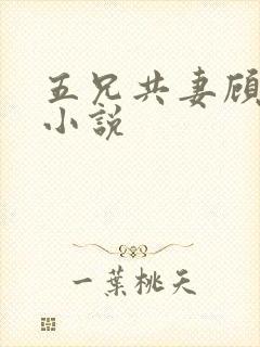 五兄共妻顾心儿小说