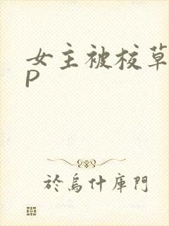 女主被校草们NP