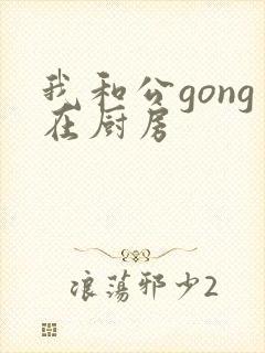 我和公gong在厨房