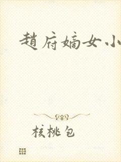 赵府嫡女小说封面