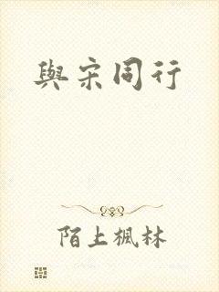 与宋同行封面