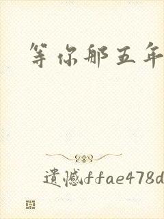 等你那五年
