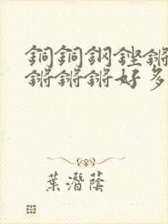 铜铜钢铿锵锵锵锵锵锵好多少阅读