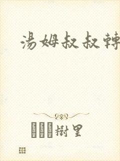 汤姆叔叔转接口