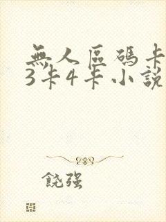无人区码卡二卡3卡4卡小说封面