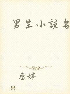 男生小说名字