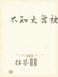不知火舞被辱记封面