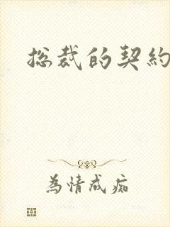 总裁的契约情人封面