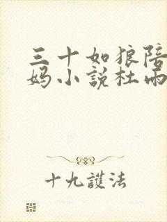 三十如狼陪读妈妈小说杜雨馨封面