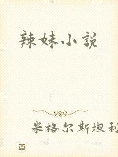 辣妹小说