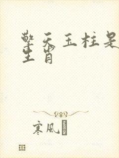 擎天玉柱是什么生肖封面