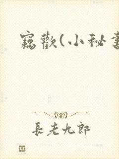 窃欢(小秘书)