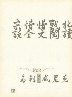 宋惜惜战北望小说全文阅读